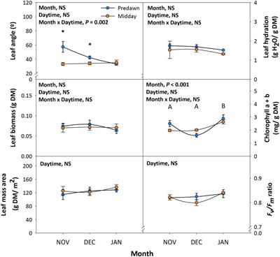 Leaf Orientation as Part of the Leaf Developmental Program in the Semi-Deciduous Shrub, Cistus albidus L.: Diurnal, Positional, and Photoprotective Effects During Winter